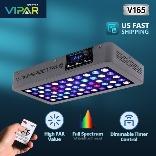 Viparspectra timer control - timer,