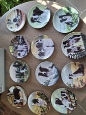 Royal Worcester Danbury Mint Border Collie Plates, Complete Set of 12