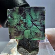 Spécimen rare de cube de