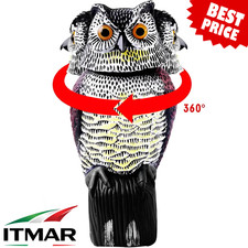 Hibou Repousse-Pigeons