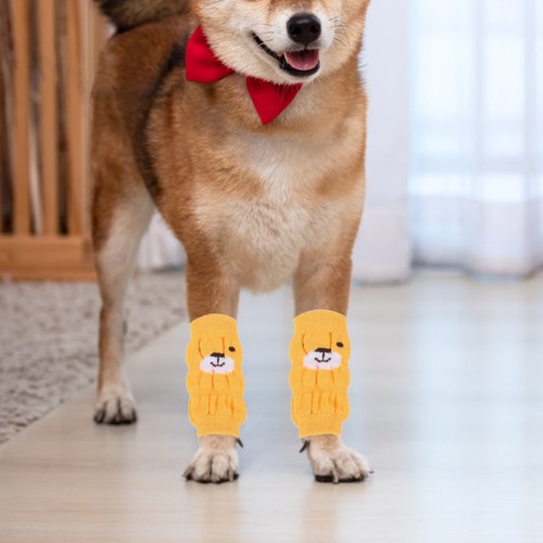 4pcs pet dog jambe - ,