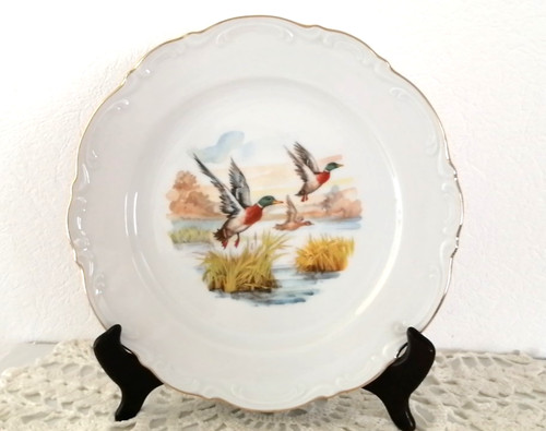 Porcelaine bavaria mittereich - porcelaine,