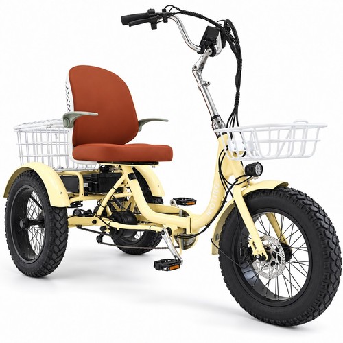 Tricycle électrique adulte - tricycle,