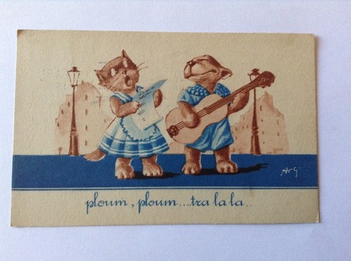 Carte postale chats - postale, ~