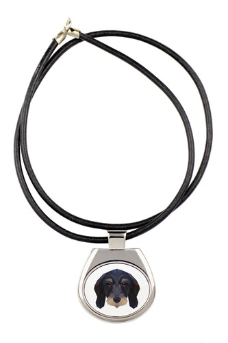 Collier teckel poil dur - teckel,