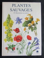 Les Plantes Sauvages - 256