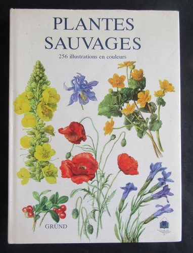 Les plantes sauvages 256 - les,