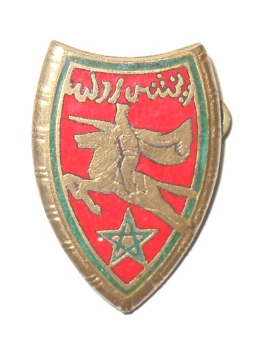 Insigne fourragere rgt - insigne,