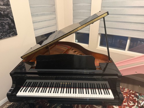 Drastically reduced piano - drastically,