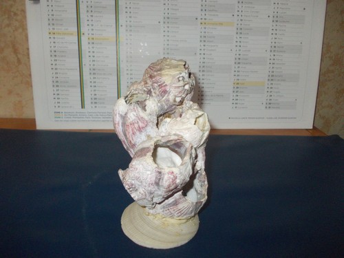 Assemblage grosses balanes - assemblage, de
