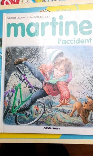 Martine accident livre - l'accident,