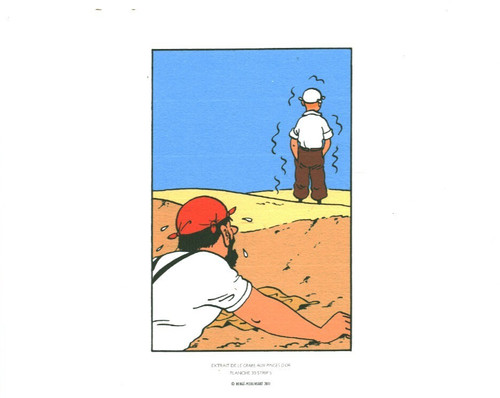 Planches tintin hergé - tintin,