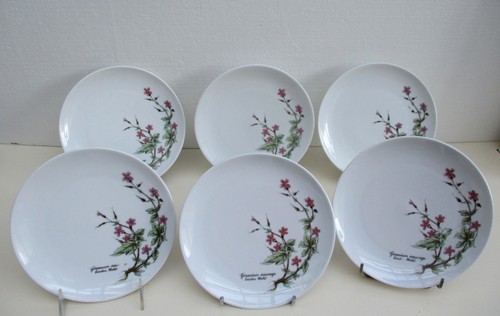 Assiettes dessert - assiettes, à