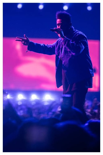 The weeknd tesfaye sportpaleis - weeknd,