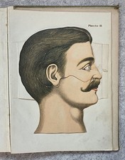 Etienne Rabaud Anatomie