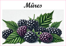 Mûres 12 sticker vinyle