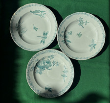 Faïence Pexonne XIX ème - 3