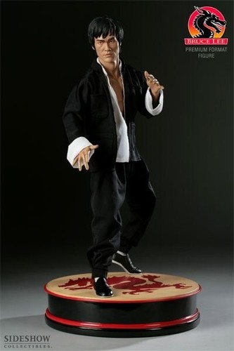 Yen chen bruce lee format - chen,