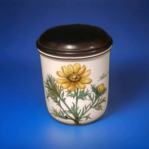 Pot villeroy boch - pot,
