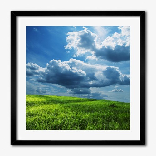Tulup photo salon 50x50cm - le,