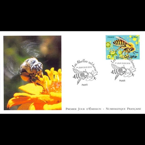 Fdc lnf abeilles solitaires - fdc,