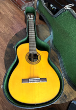 Walden Acustic Guitar N610ce 