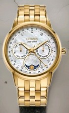 CITIZEN FD0002-57D Calendrier