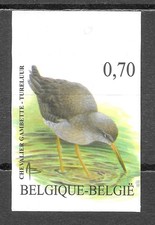Belgique Oiseaux Buzin