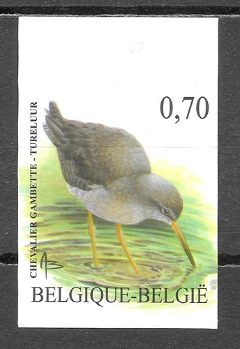 Belgique oiseaux buzin - belgique,