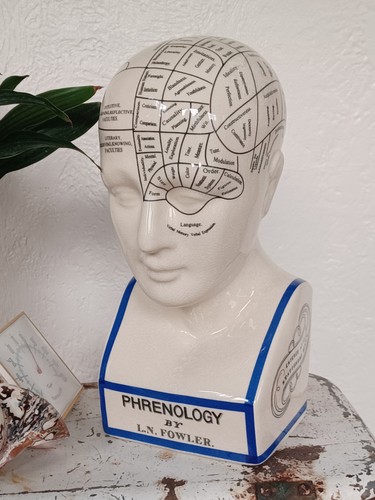 Phrenology bust l n - bust, l.n
