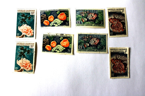 Poissons coraux 1959 - poissons, et