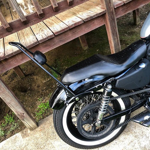 Tall passenger sissy bar - tall,