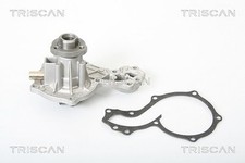 TRISCAN Pompe à eau