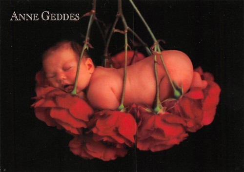Postcard anne geddes - postcard,