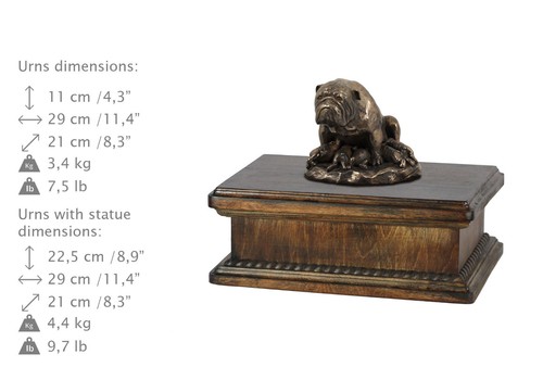 Bulldog anglais type urne - anglais, 2,