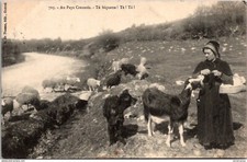 17608 cpa 23 Au Pays Creusois