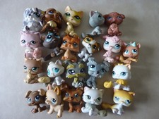 lot petshop chats et chiens