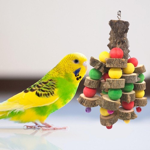 Oiseaux calopsitte bois - oiseaux,