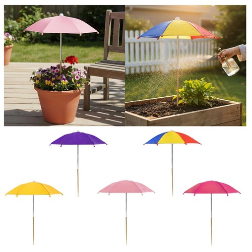 Plant umbrella parasol sun - plant,