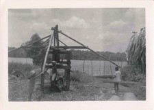 OLD PHOTO GUIANA ~1950 OYAPOCK REGION SUGAR CANE PRESS