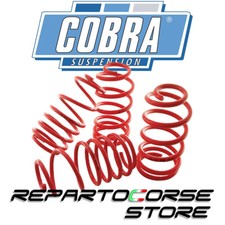 Ressorts Cobra Audi 100