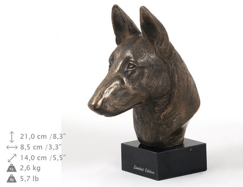 Chien berger belge - chien,