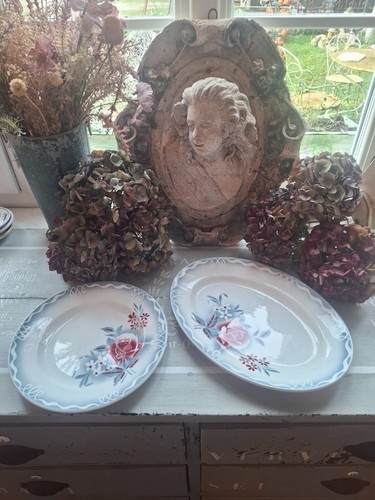 Anciens plats faïencerie - plats,