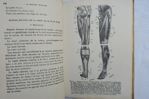 Machine humaine anatomie - la,