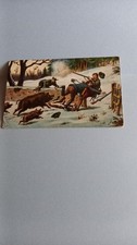 Old postcard hunting. wild boar hunter