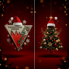 TAP PARA 2°REP 4Cie - Insigne