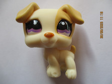 PETSHOP CHIEN JACK RUSSEL