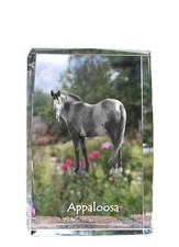 Appaloosa cristal avec un cheval Art-Dog