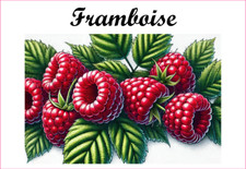 Framboise 12 Etiquettes vinyle conserve fruit légume confiture fait maison