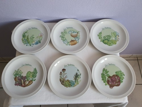 Vintage lot 6 assiettes - vintage,